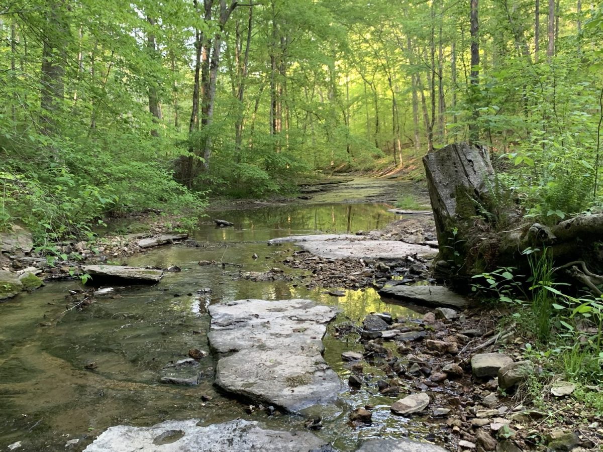 The Moment I Started Noticing Something Was Off