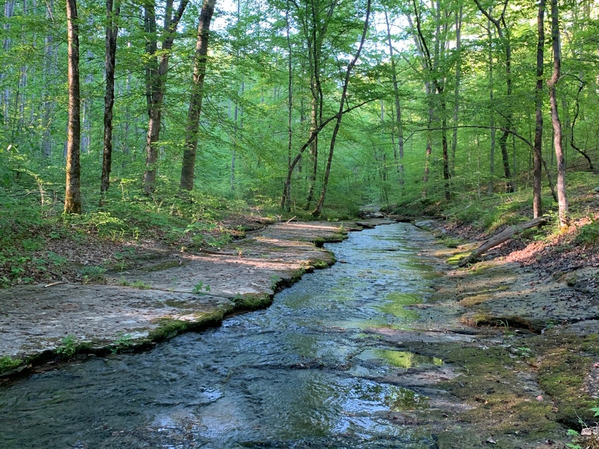 Turning Toward vs. Turning Away