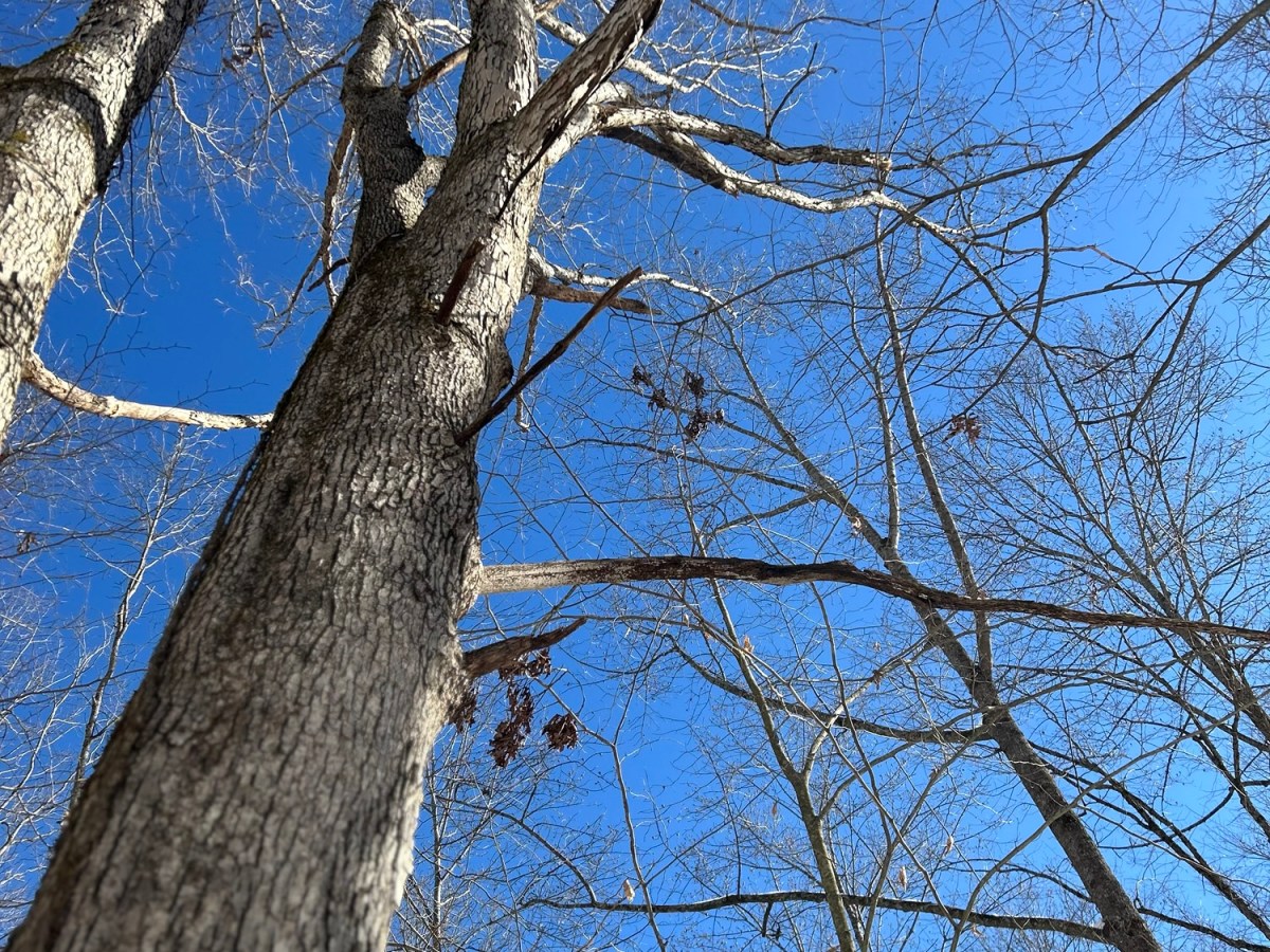 I Wrote This Two Years Ago. I Didn’t Know It Was About Me.